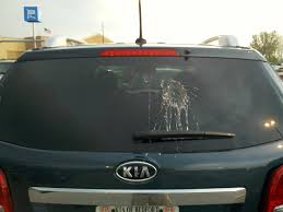 Bird Pooping on Car Spiritual Meaning | Luck or Sign?