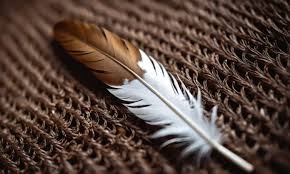 White and Brown Feather Meaning: Spiritual Messages in 2025