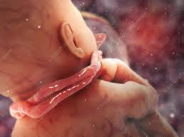 Umbilical Cord Around Neck: Spiritual Meaning, Symbolism2025