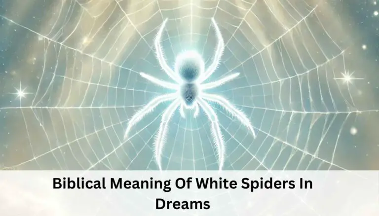 Biblical Meaning Of White Spiders In Dreams