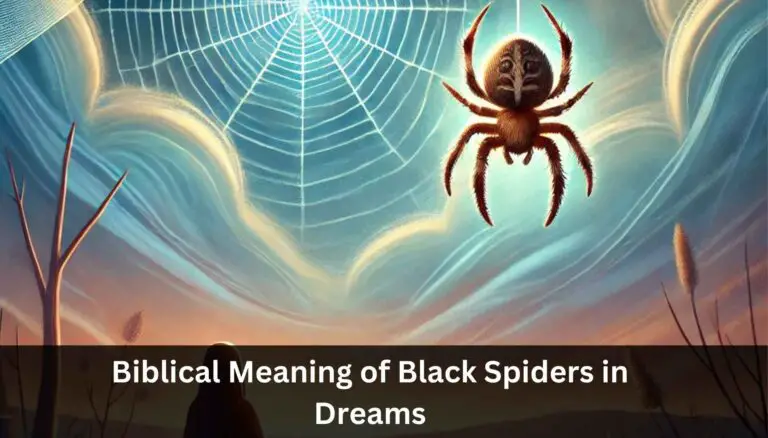 Biblical Meaning of Black Spiders in Dreams