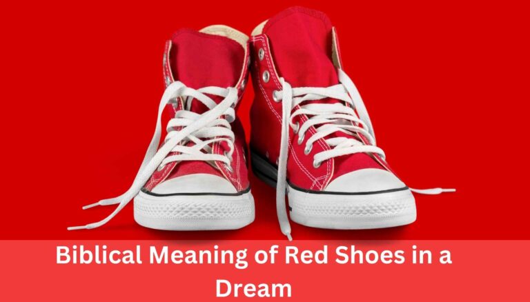 Biblical Meaning of Red Shoes in a Dream