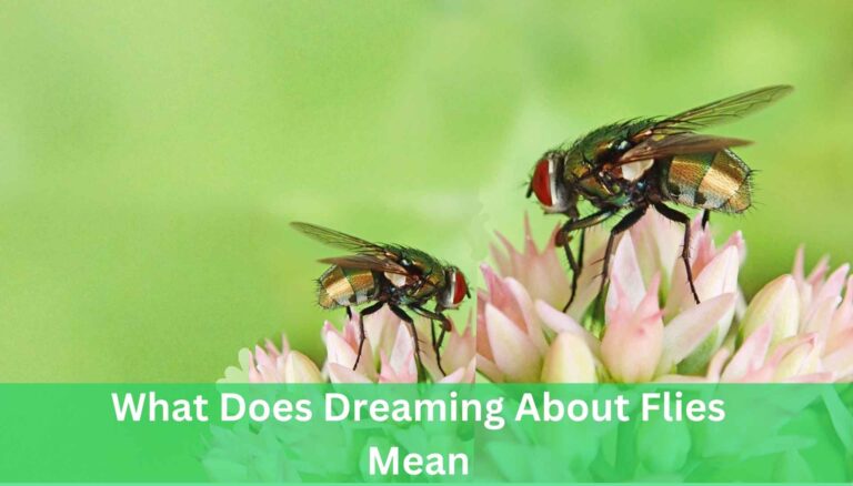 What Does Dreaming About Flies Mean